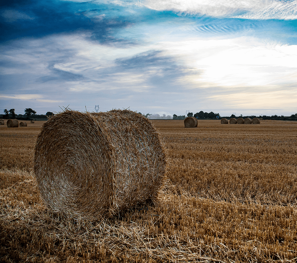 Agriculture